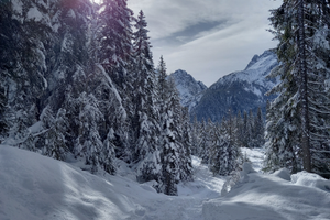 Vacanze sulla neve a Sappada Dolomiti