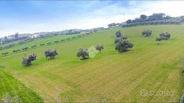 TER. AGRICOLO A PORTO SAN GIORGIO