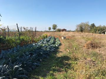 Terreno edificabile Podenzano