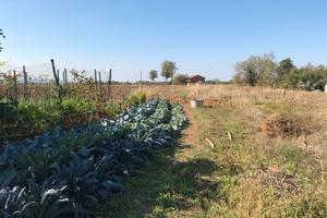 Terreno edificabile Podenzano