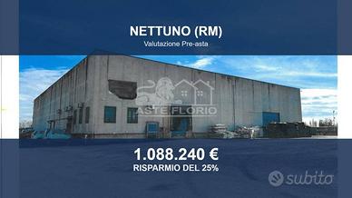 Immobile in asta di 3024 m² a Nettuno