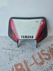 Mascherina yamaha tt 600r