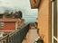 Immagine 7