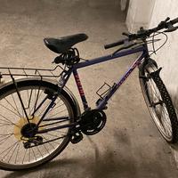 Bici da cross marca Vicini