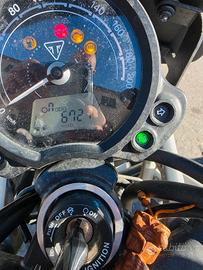 Triumph Scrambler  900 del 2024