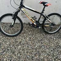 Bicicletta 20” per bambini