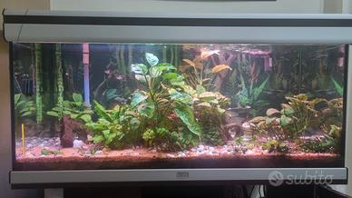 acquario completo