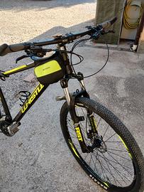 MTB29