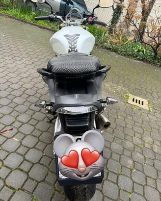 Honda hornet cbf 600