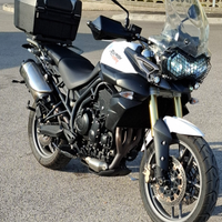 Tiger 800 ABS