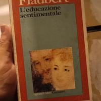 L'educazione sentimentale, Flaubert