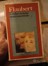 L'educazione sentimentale, Flaubert