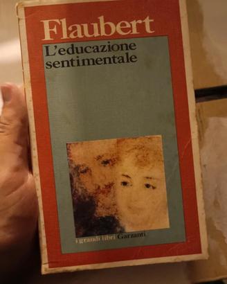 L'educazione sentimentale, Flaubert