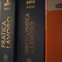 Rivista  diritto e pratica del lavoro