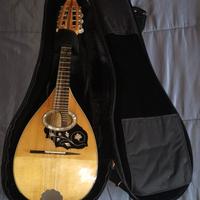 Mandolino con custodia 