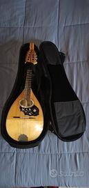 Mandolino con custodia 