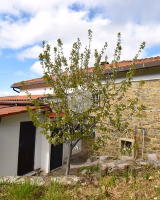 VILLA SINGOLA A RUTINO