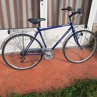 bicicletta Torpado 