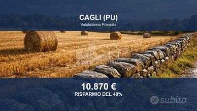 Immobile in asta di 25883 m² a Cagli