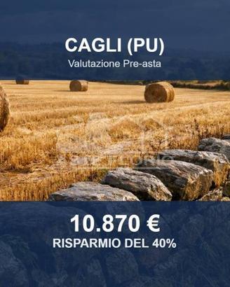 Immobile in asta di 25883 m² a Cagli