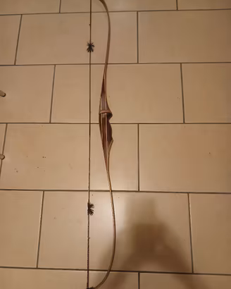 arco ricurvo long bow