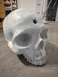 Teschio in gesso