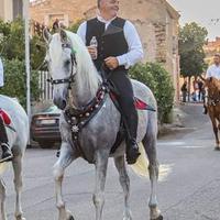 Cavallo spagnolo