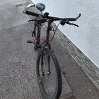 Bicicletta uomo