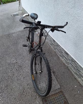 Bicicletta uomo