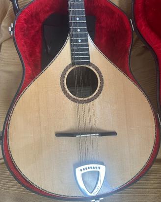 Bouzouki irlandese liuteria