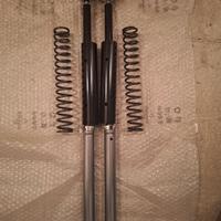 Molle e pompanti forcella BMW R1250R