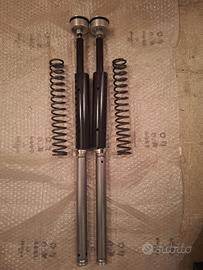 Molle e pompanti forcella BMW R1250R