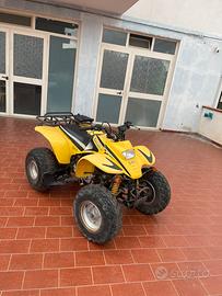 Quad Snake 250