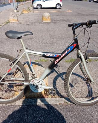 Mountain bike