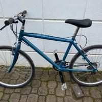 Bicicletta funzionante