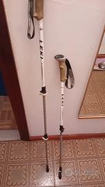 bastoncini trekking 