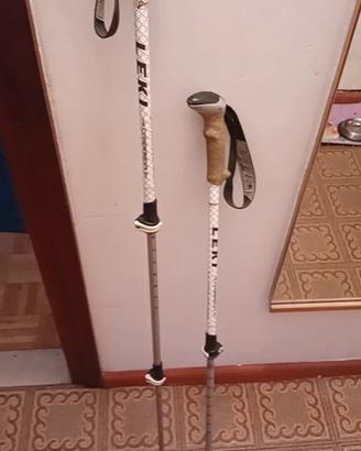 bastoncini trekking 