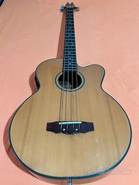 Basso elettro acustico
