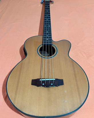 Basso elettro acustico