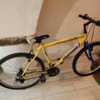 Bicicletta da ragazzo (10-12 anni)