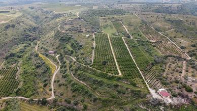 Azienda Agricola