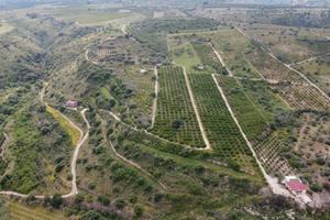 Azienda Agricola
