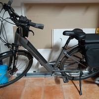 bicicletta elettrica 