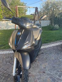 Liberty s 50 2025/2026