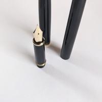 Stilografica Pilot Celemo('89) Cartuccia. EF 14Kt