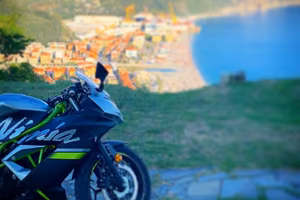 Kawasaki Ninja 125 2019 -  2192KM
