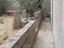 Immagine 24