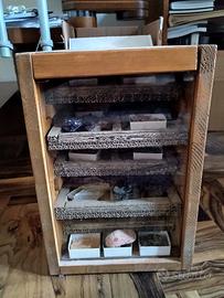 Box di collezione con ca. 50 campioni di minerali