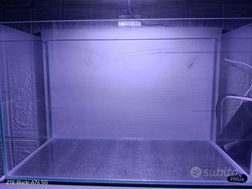 Acquario per pesci