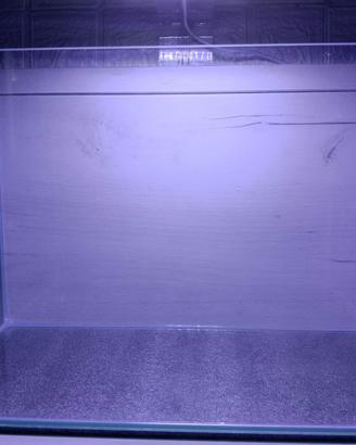 Acquario per pesci